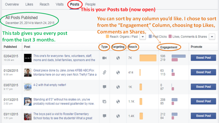 Posts Tab in Facebook Insights